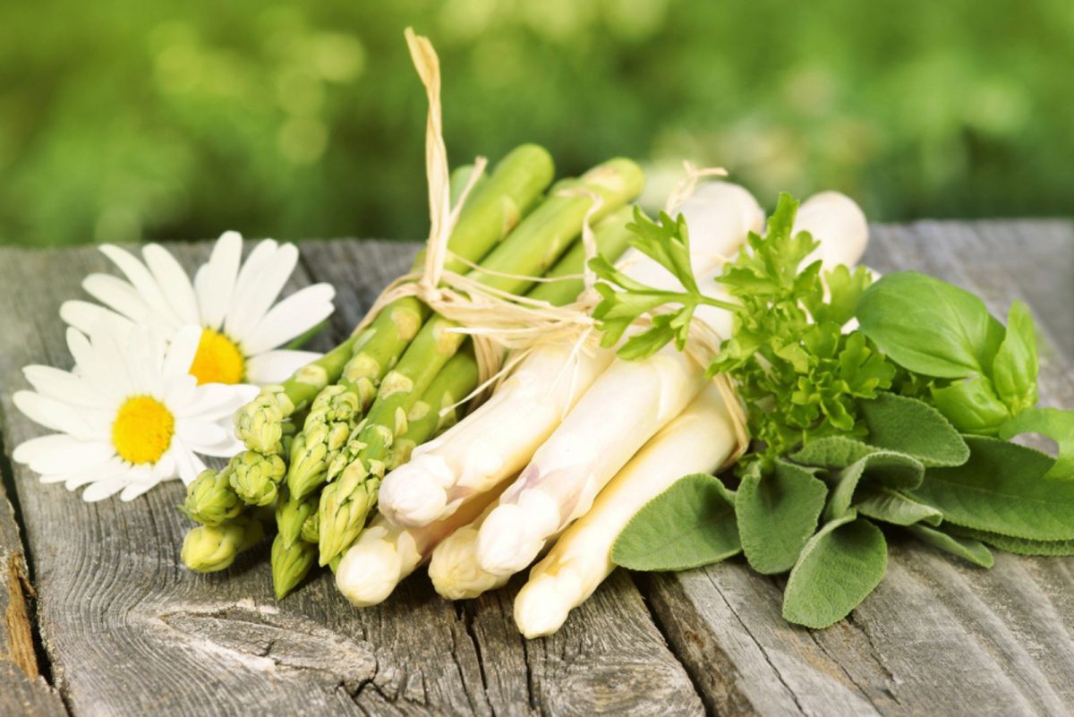 10+ Easy Tips For Planting And Growing Asparagus