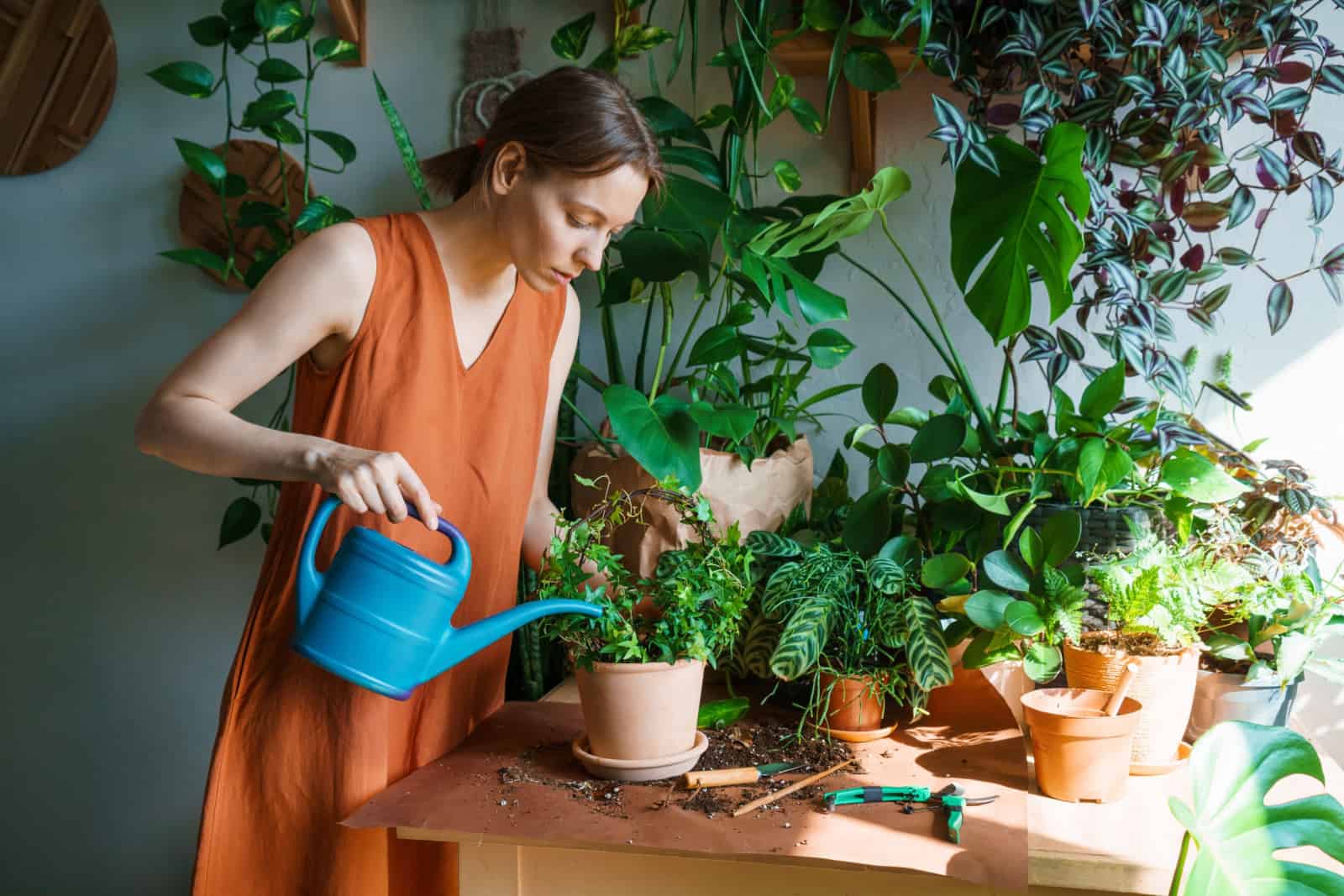 Happy woman watering in room close-up, carefully water plants using watering can.
