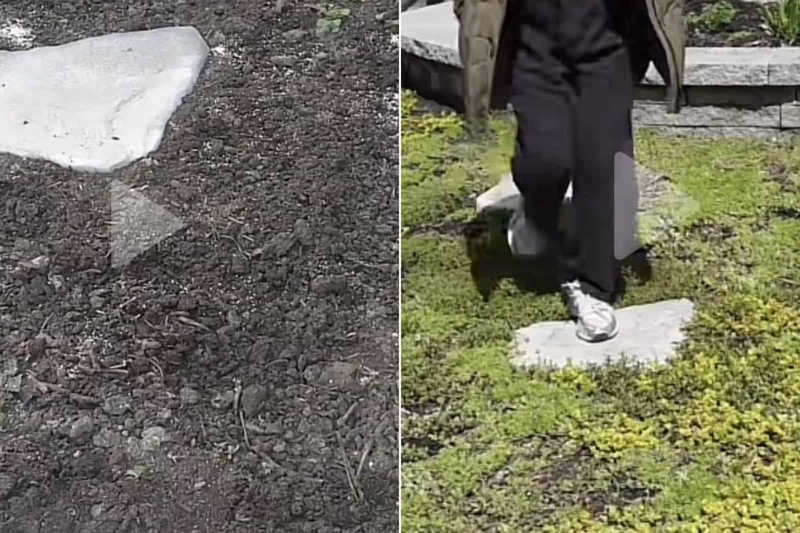 Homeowner’s Stunning Before-and-After Photos After Front Lawn Removal