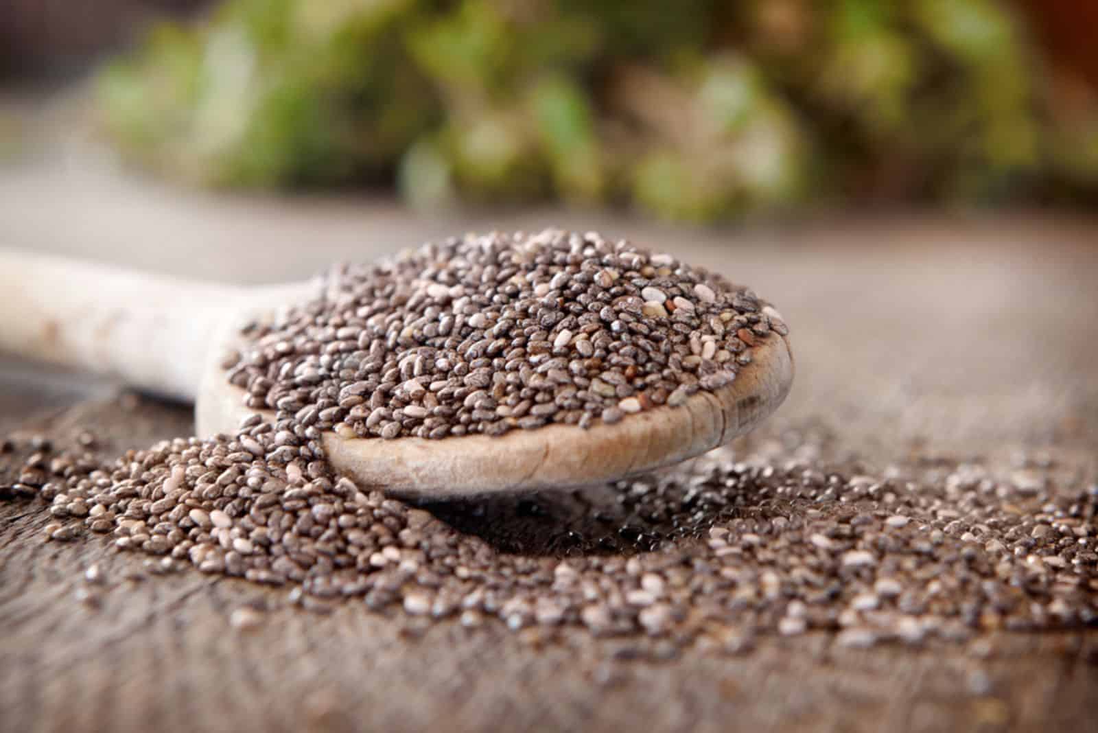 How To Grow Chia Seeds And 5 Best Chia Plant Uses
