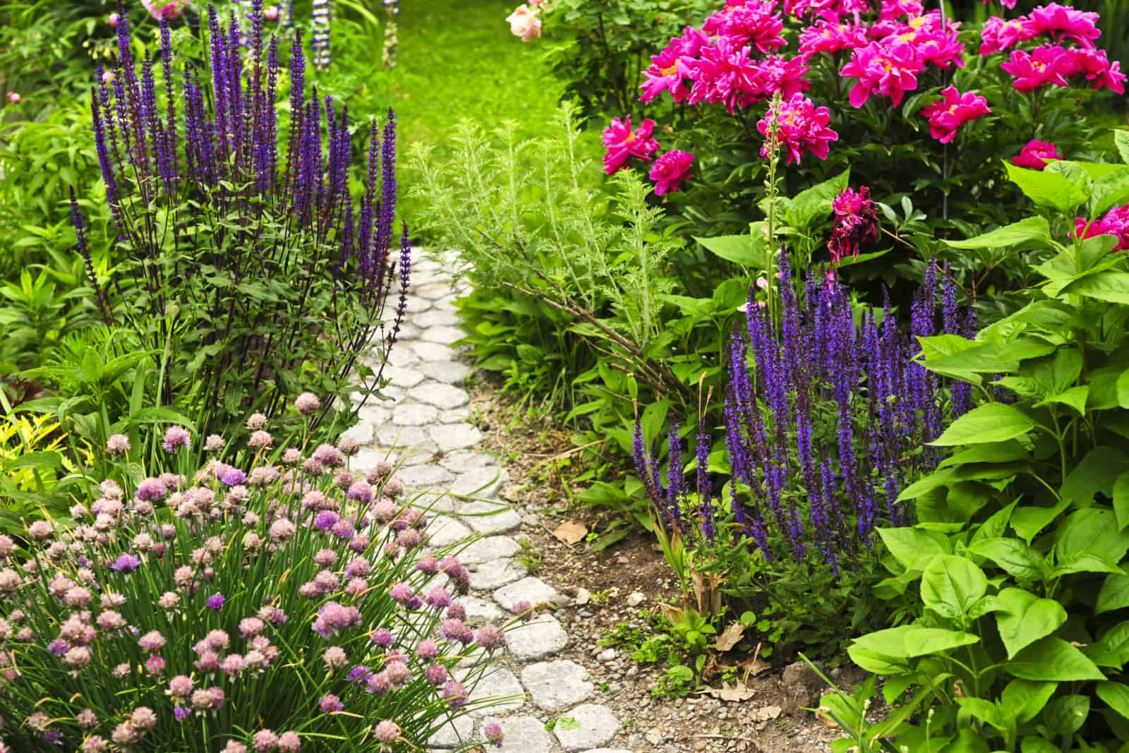 Low Budget Ideas For Making A Gorgeous Garden