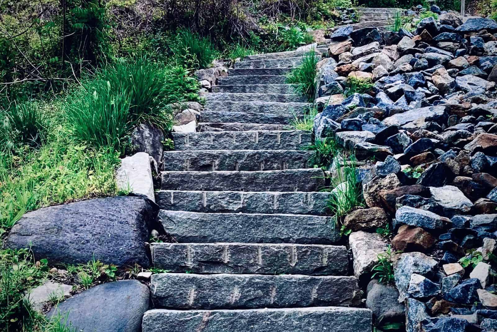 Old stone stairs with grass and rocks