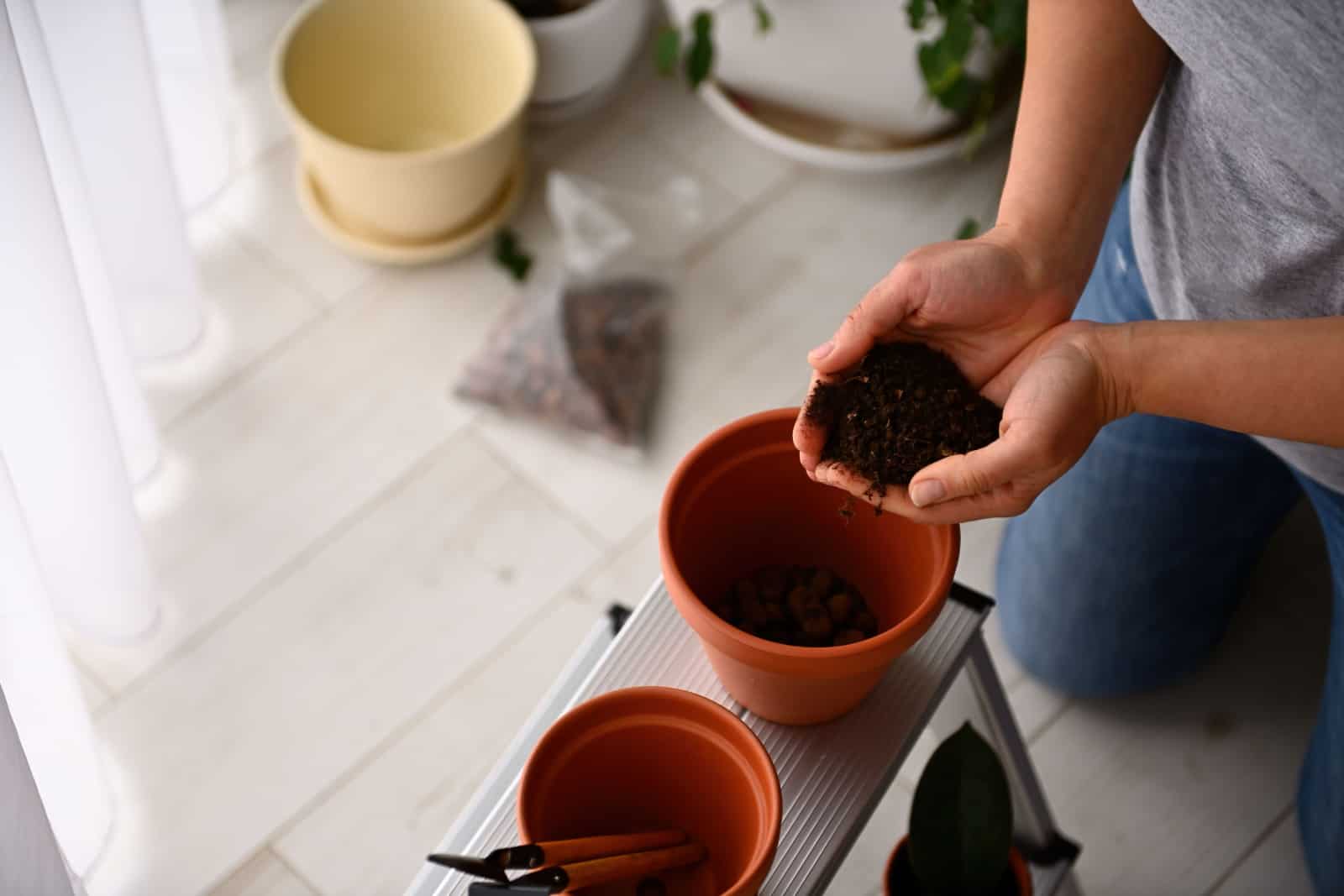 Overhead view of woman's hands holding fertilized black soil and putting it in the clay pot while repotting houseplants