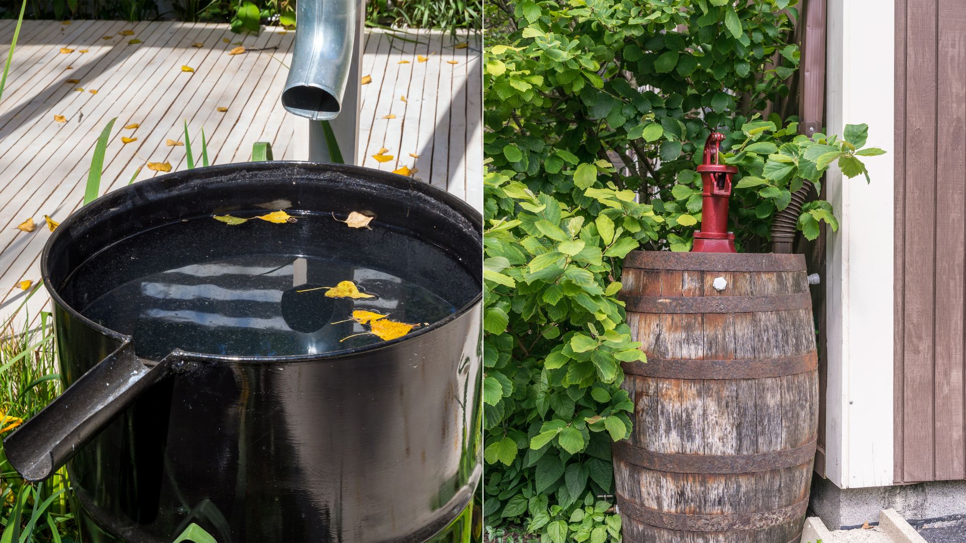 Rainwater Harvesting And Everything You Need To Know About It