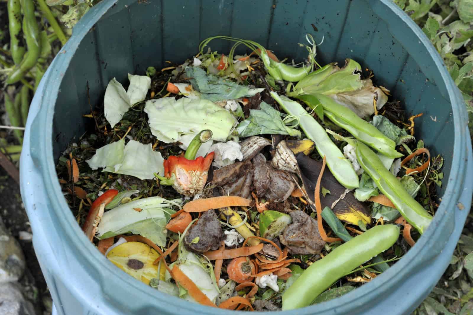 Recycling kitchen food waste in a home compost bin including fruit and vegetable peelings, tea bags and egg shells