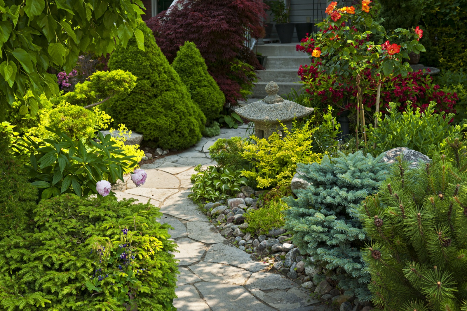 Rock Garden Footpath