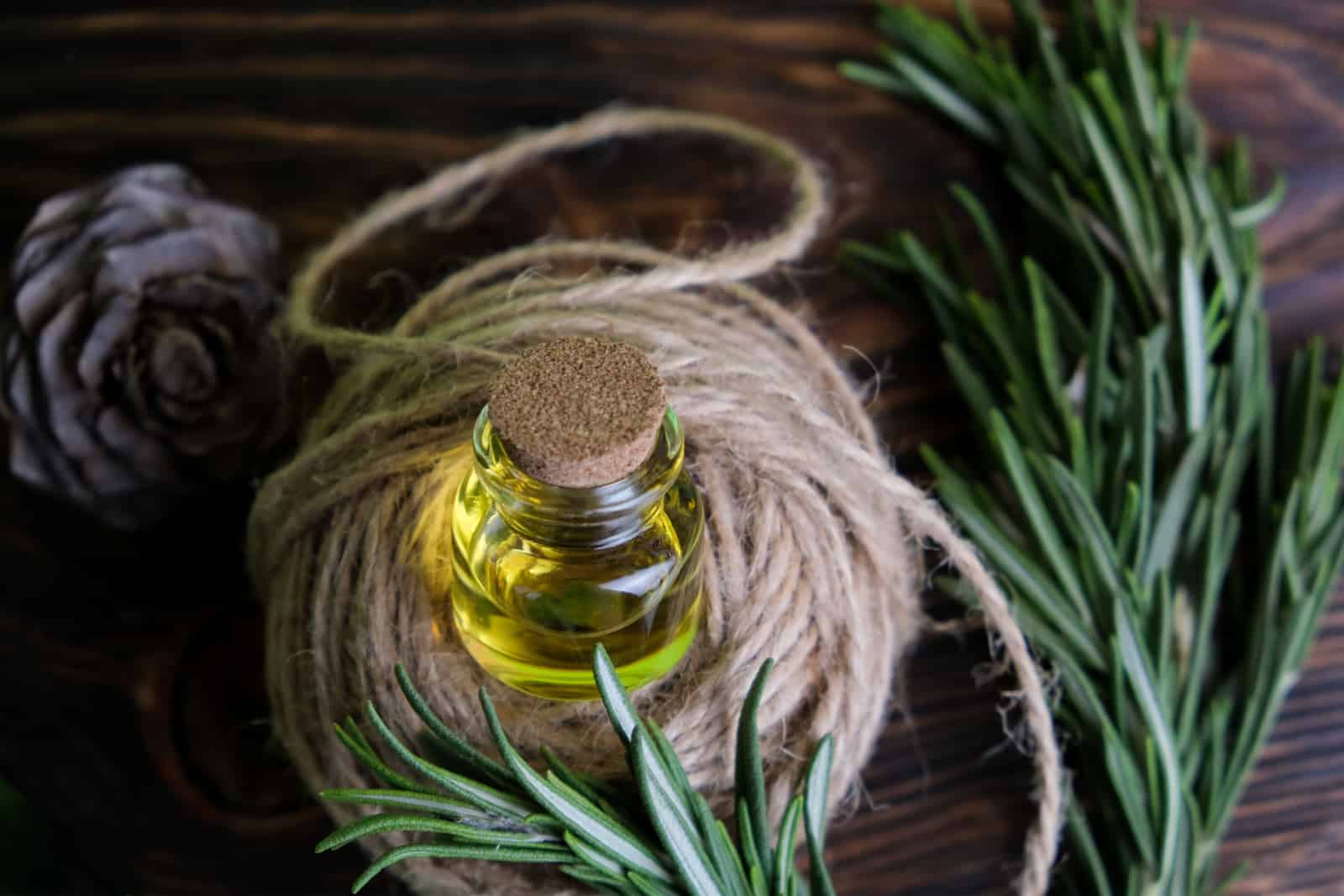 Rosemary essential oil jar glass bottle and branches of plant rosemary with flowers on rustic background