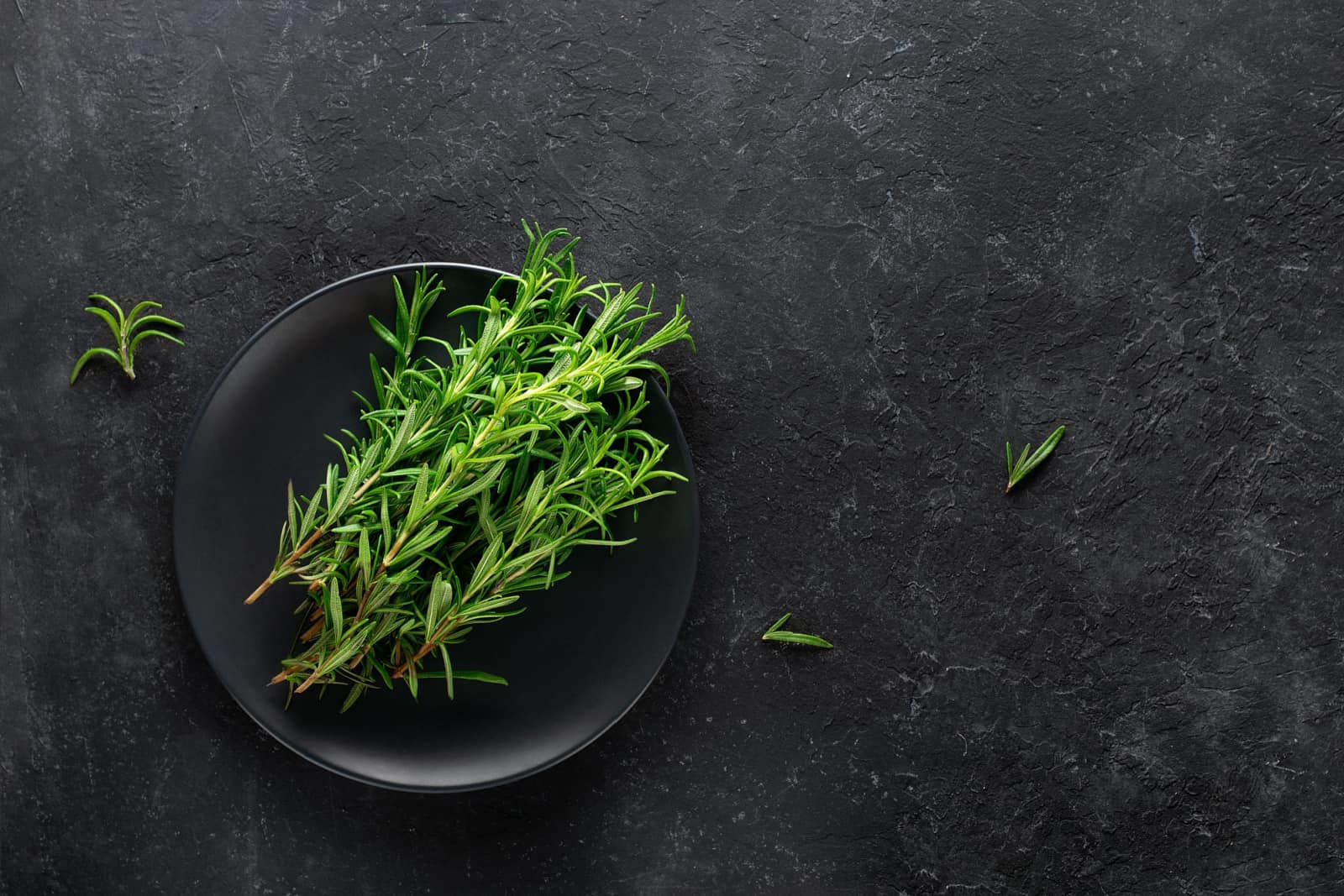 Rosemary herb on a plate on a black background