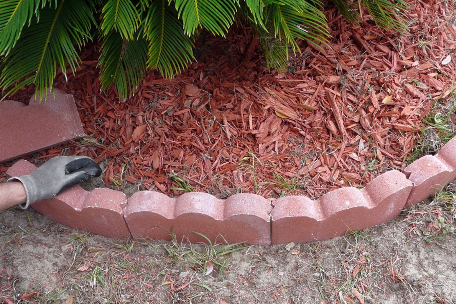 Scalloped Stone Edging