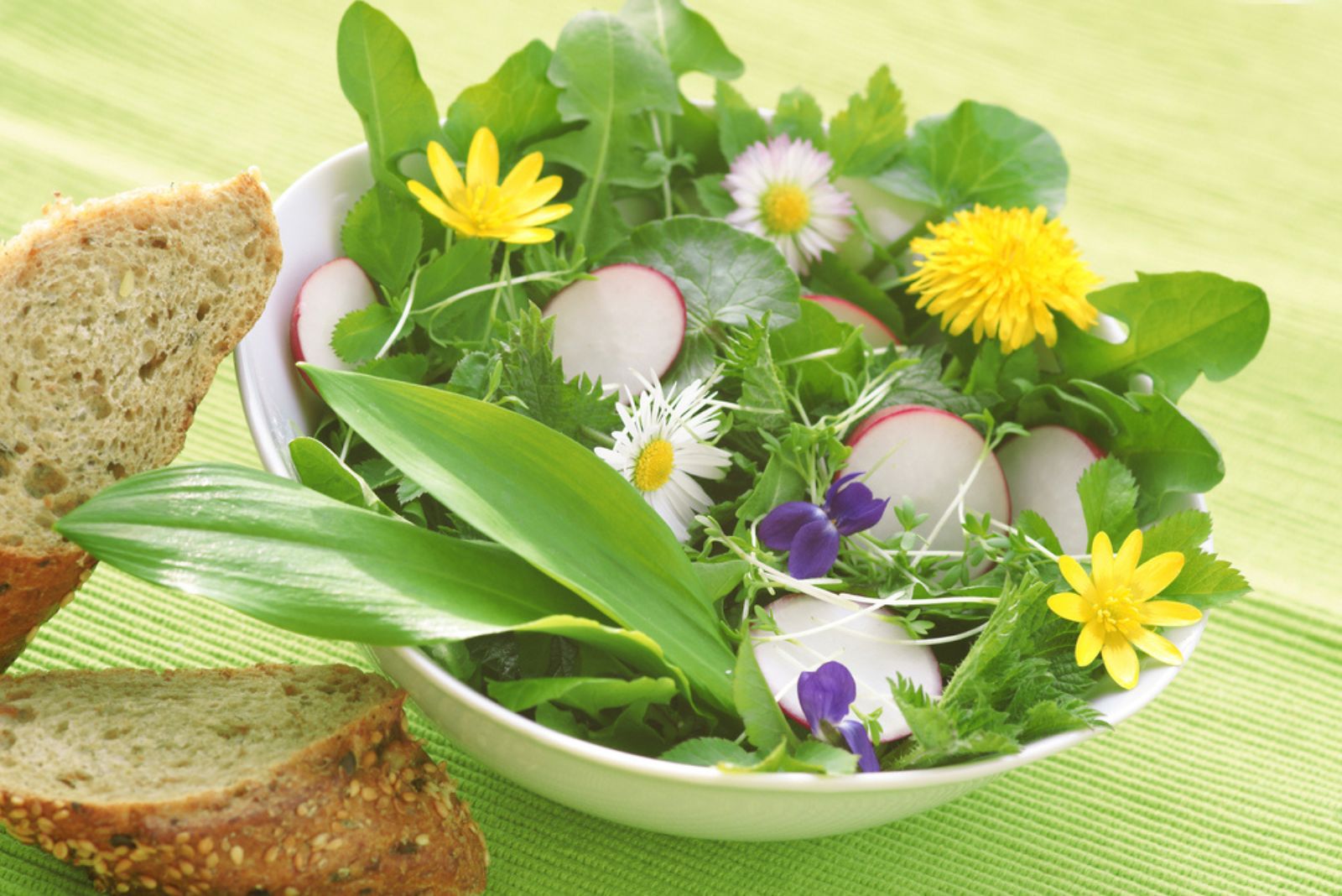 Spring Salad With Wild Herbs