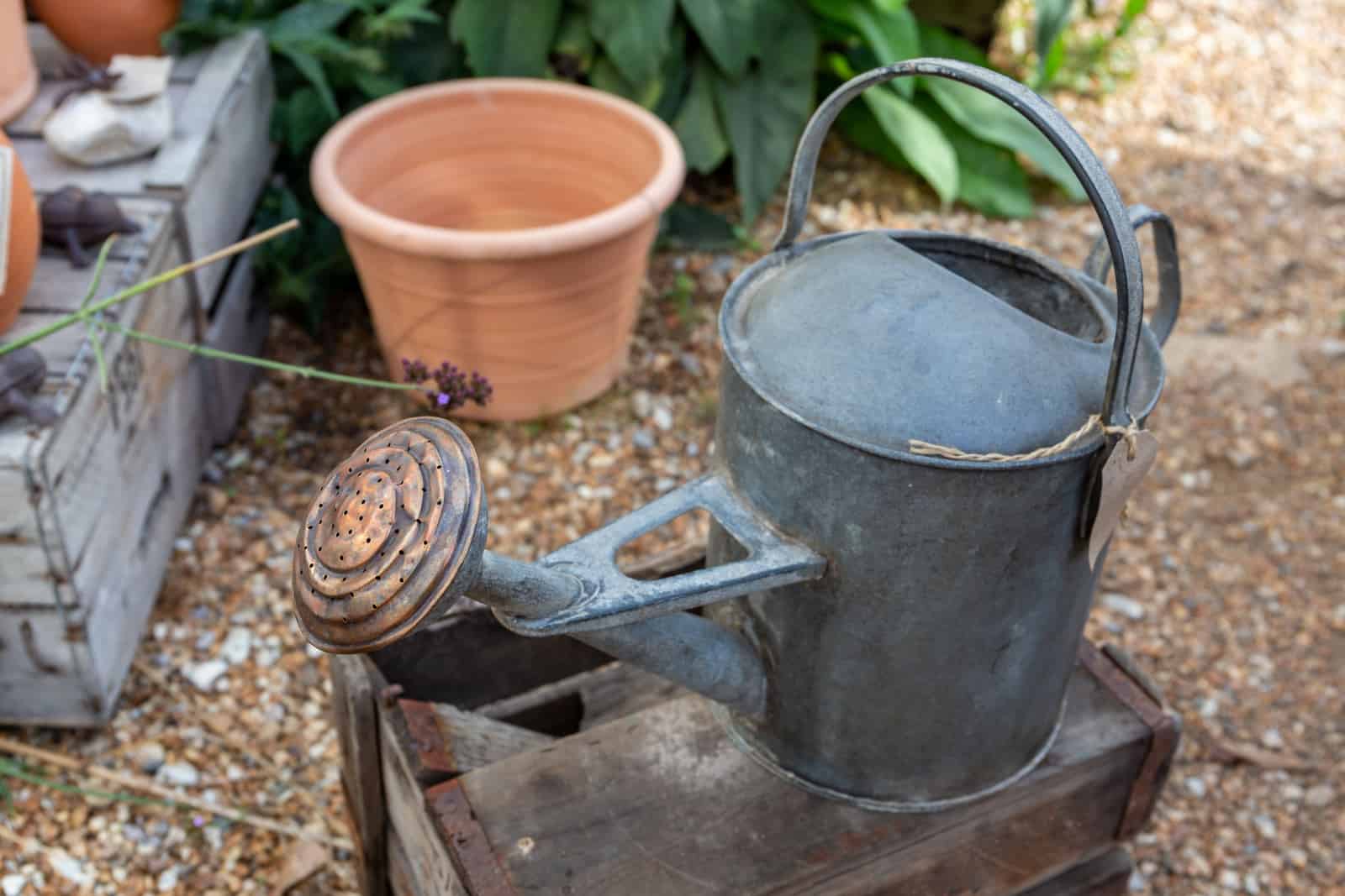Vintage metal watering can with copper coloured head
