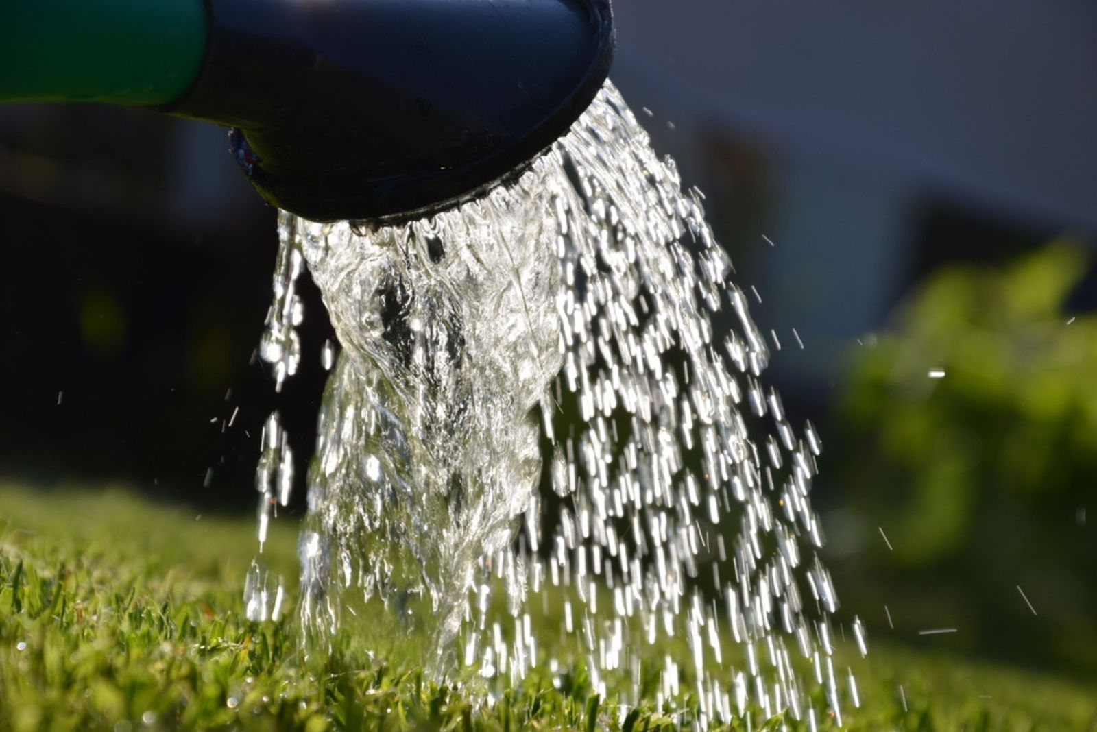 Watering the lawn after mowing