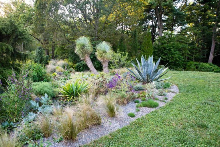Xeriscaping method in the garden
