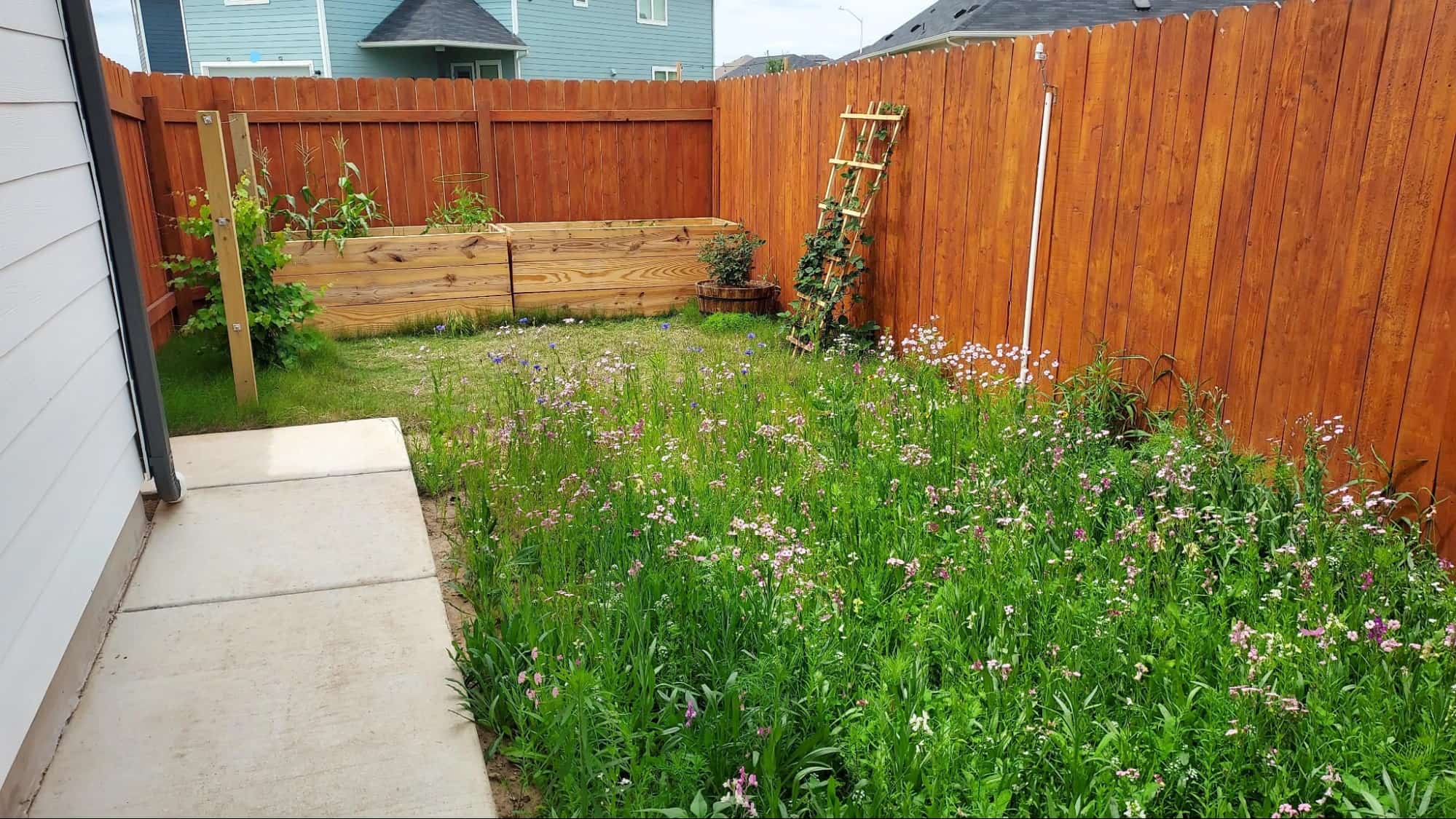 after photo of a biodiverse garden