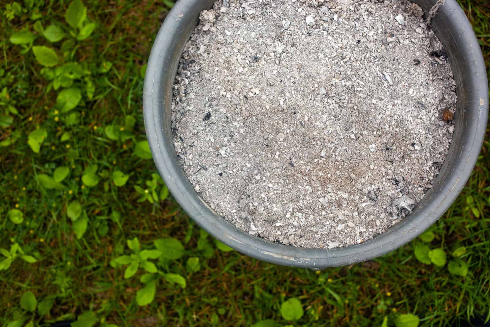 ashes in a bucket on a grassy lawn