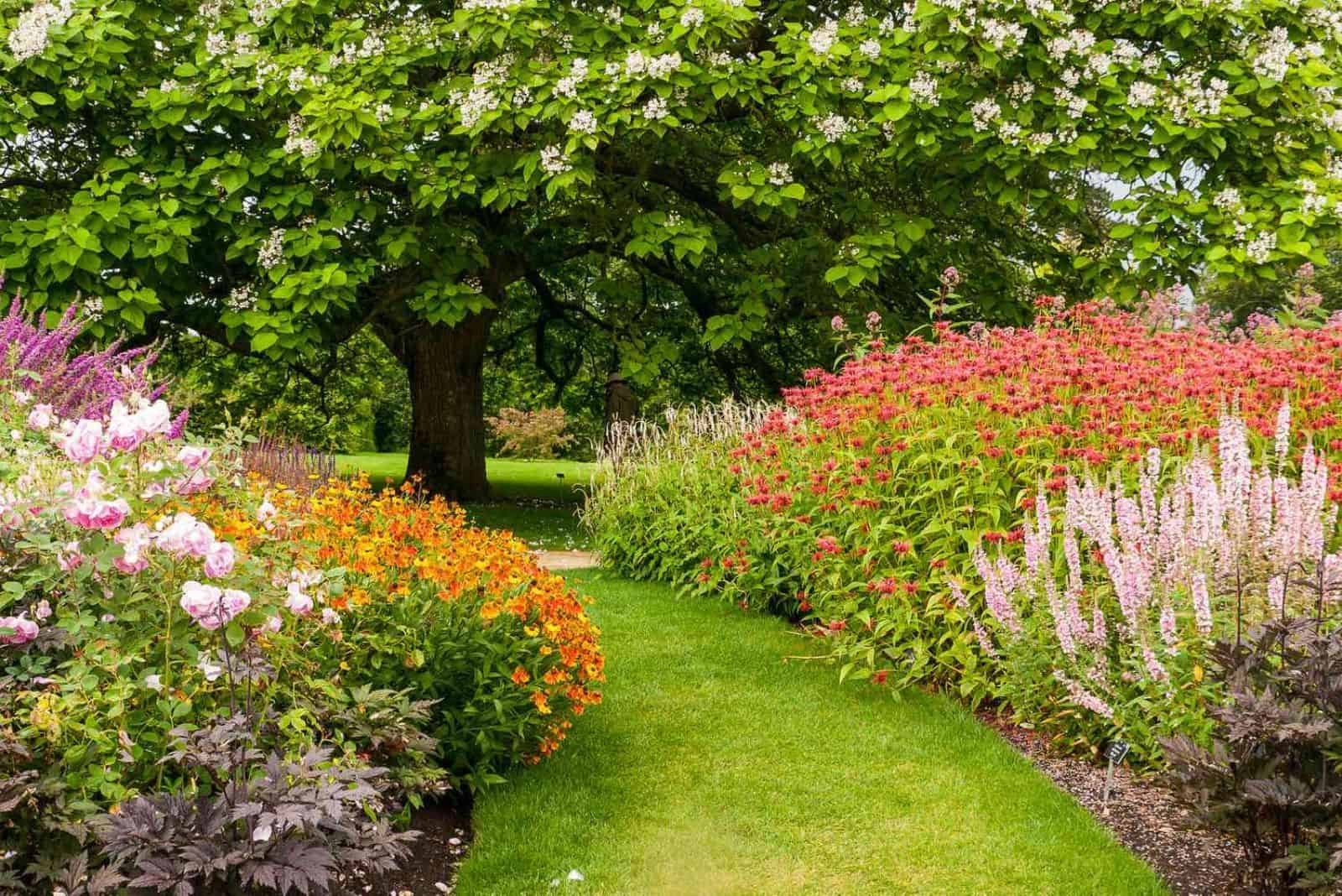 beautiful garden with flowers and trees
