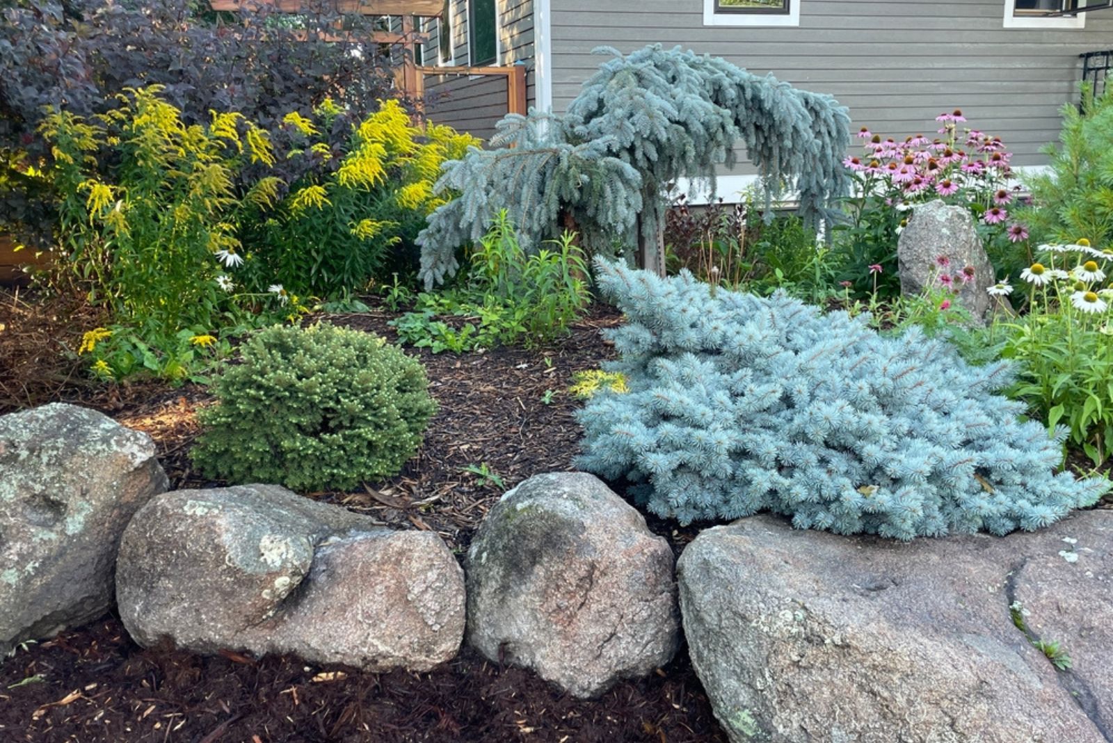 boulders in garden