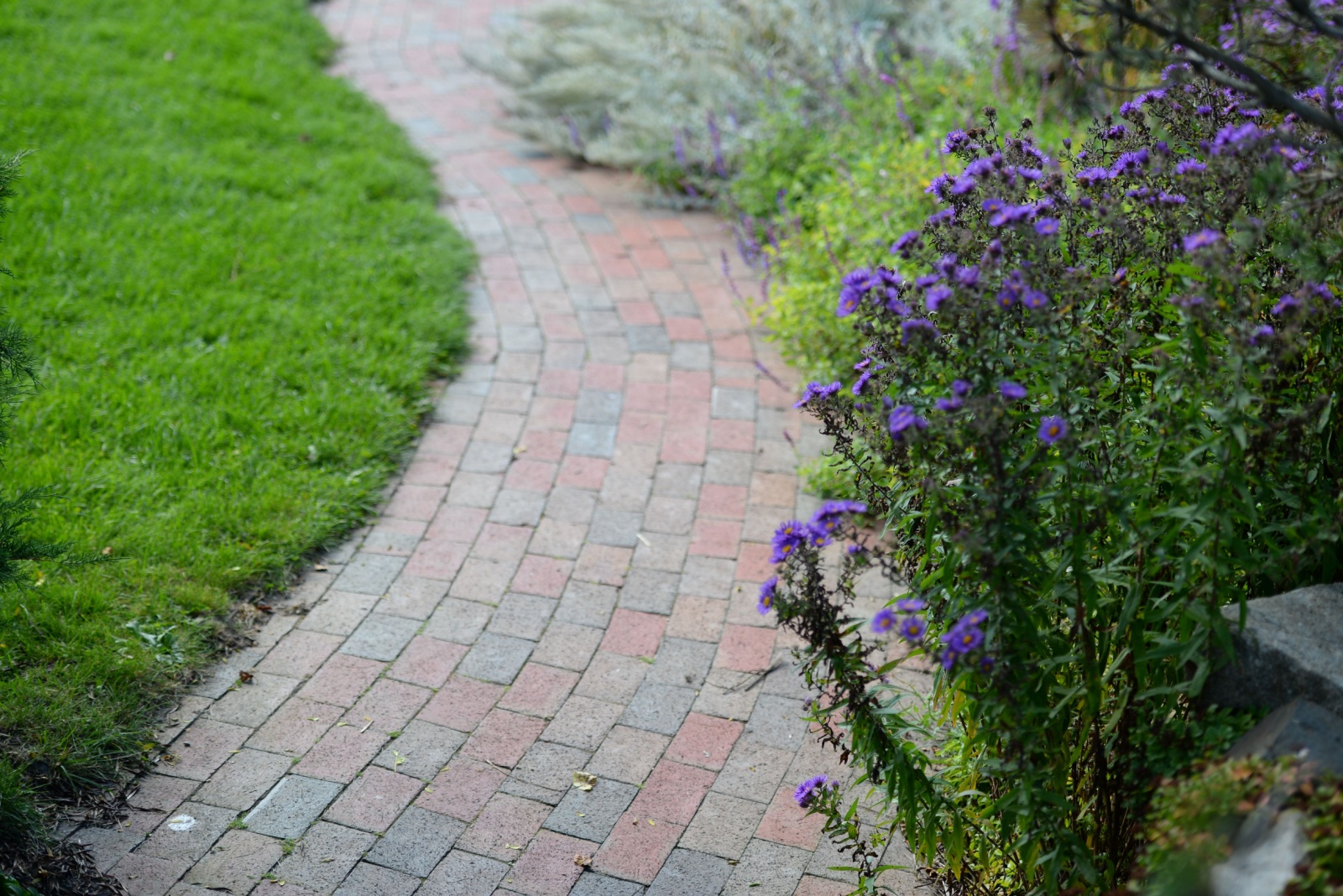 brick foot path