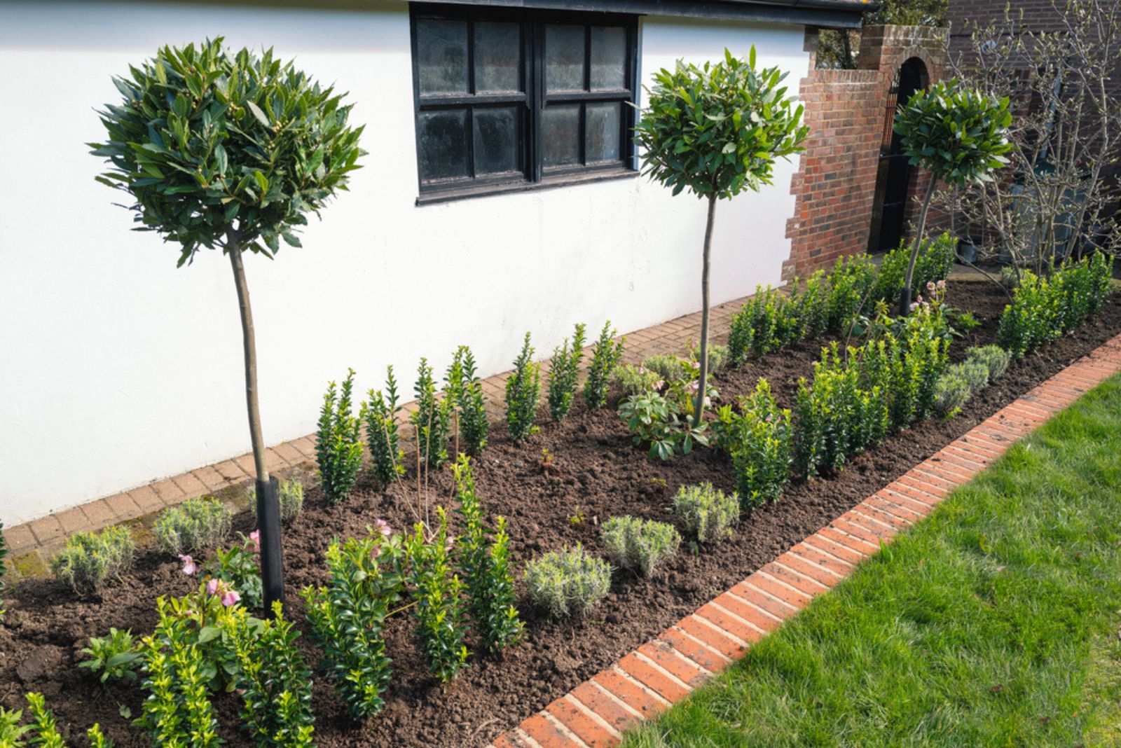 brick pathway edged garden