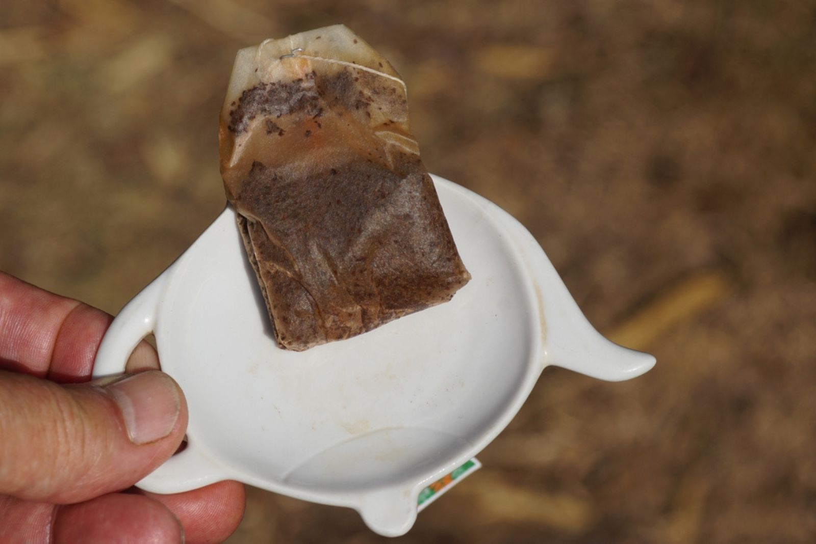 brown tea bag on plate