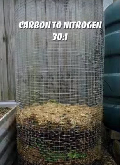 carbon to nitrogen