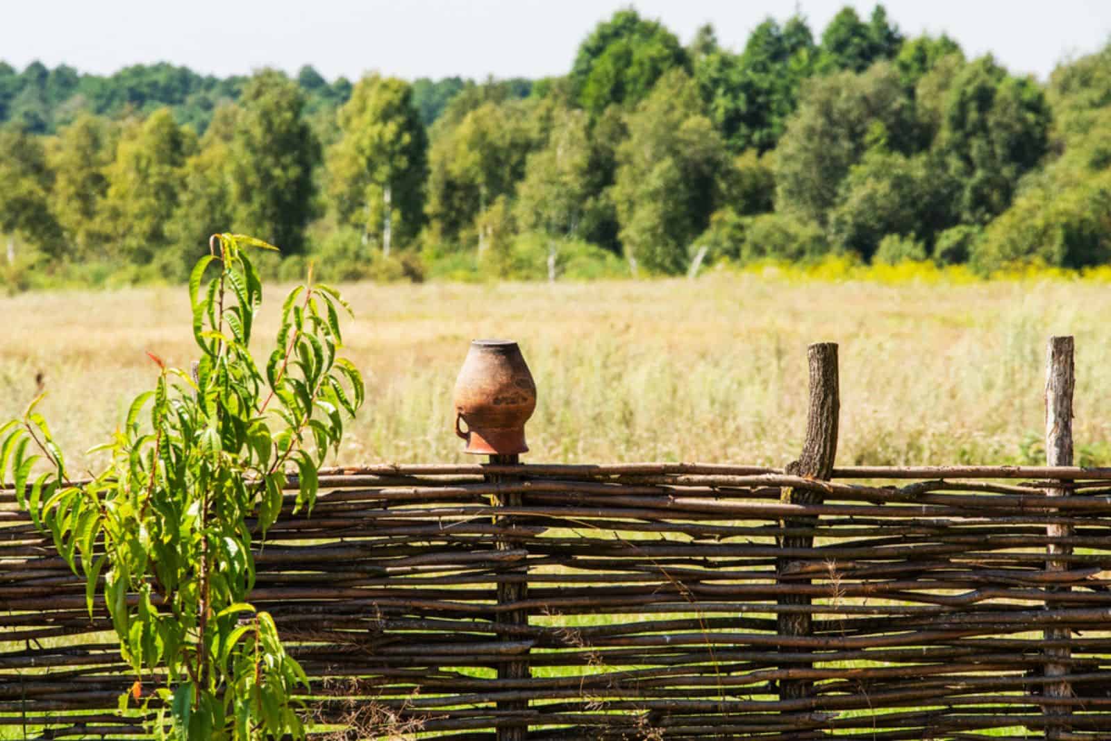 fence woven in the field