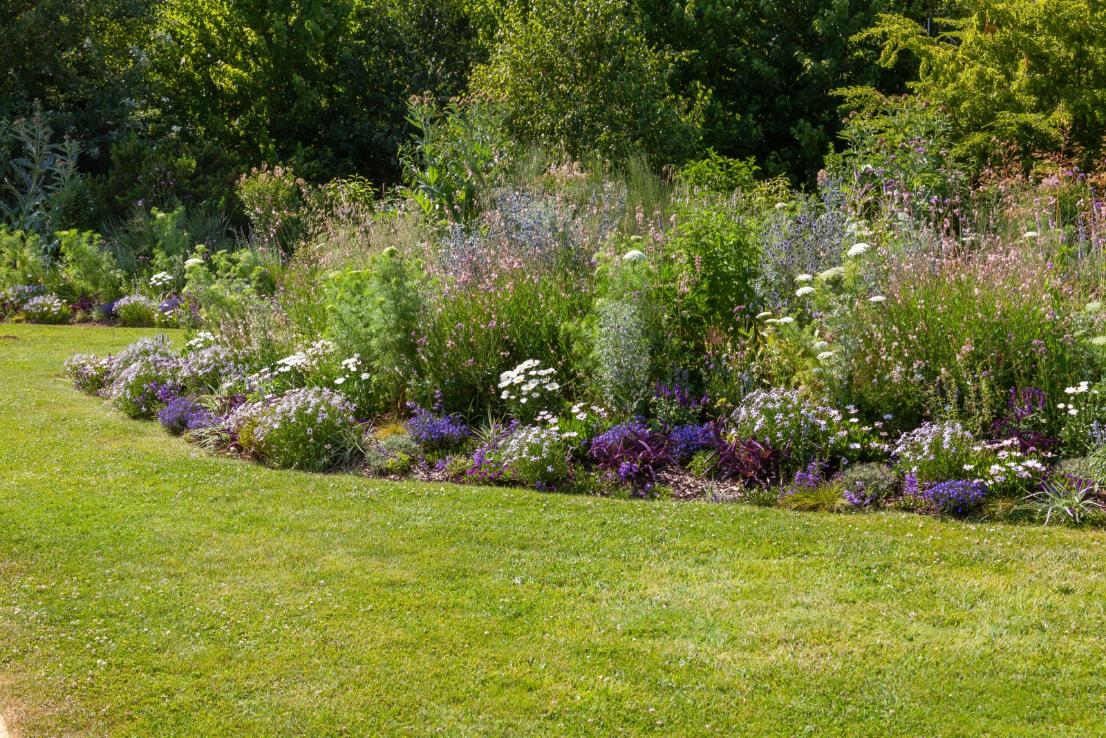 flower bed in garden