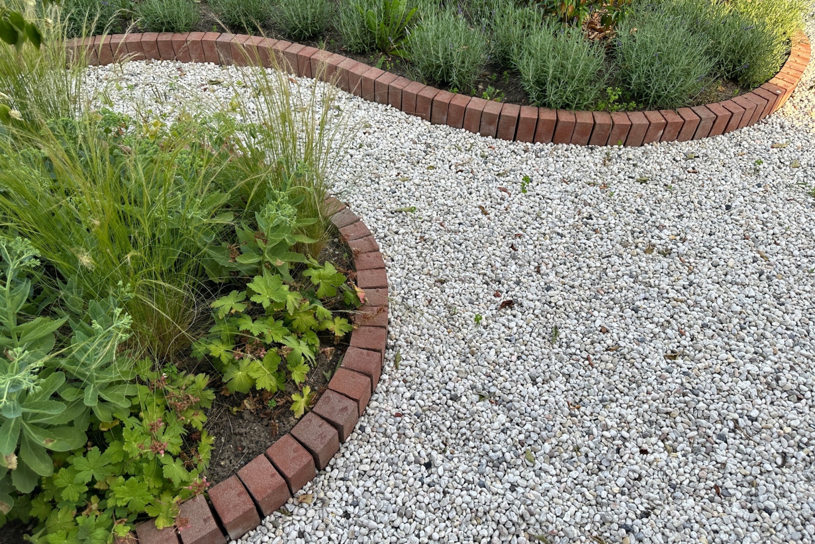 footpath in garden with brick border