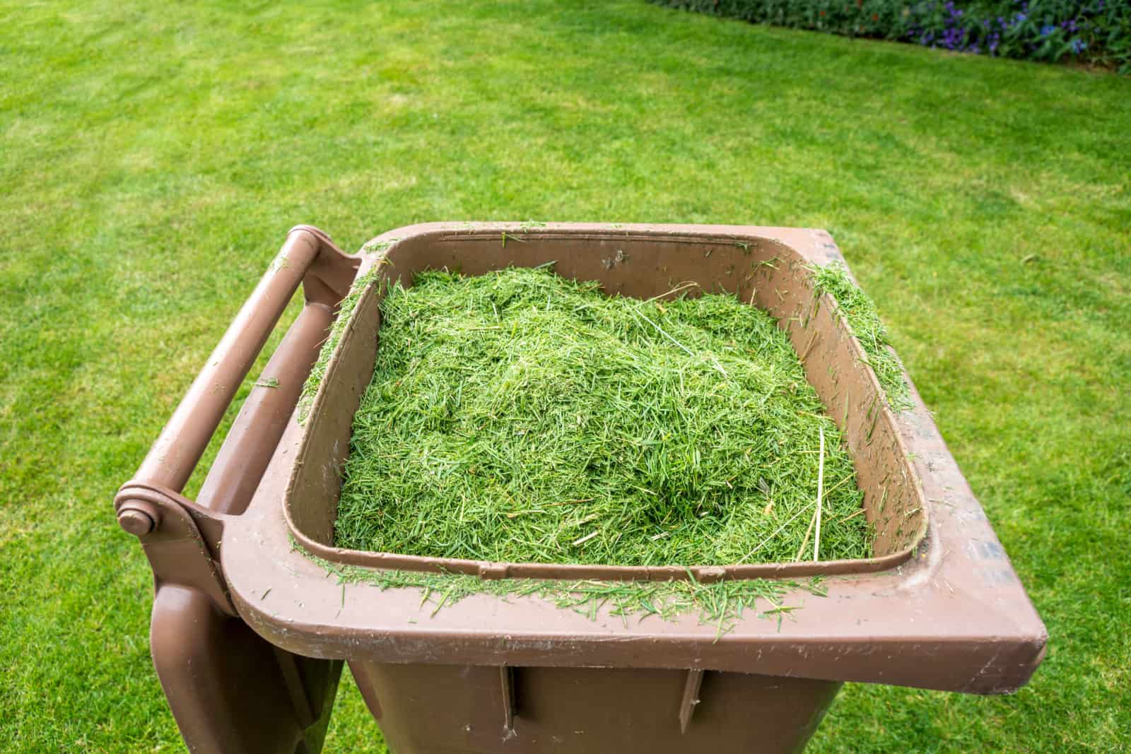 grass clippings in a bin
