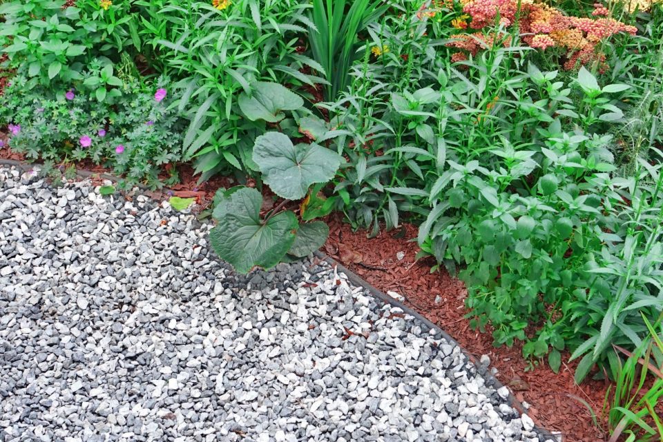 5 Methods For Removing Weeds From Gravel And Preventing Them From Coming Back