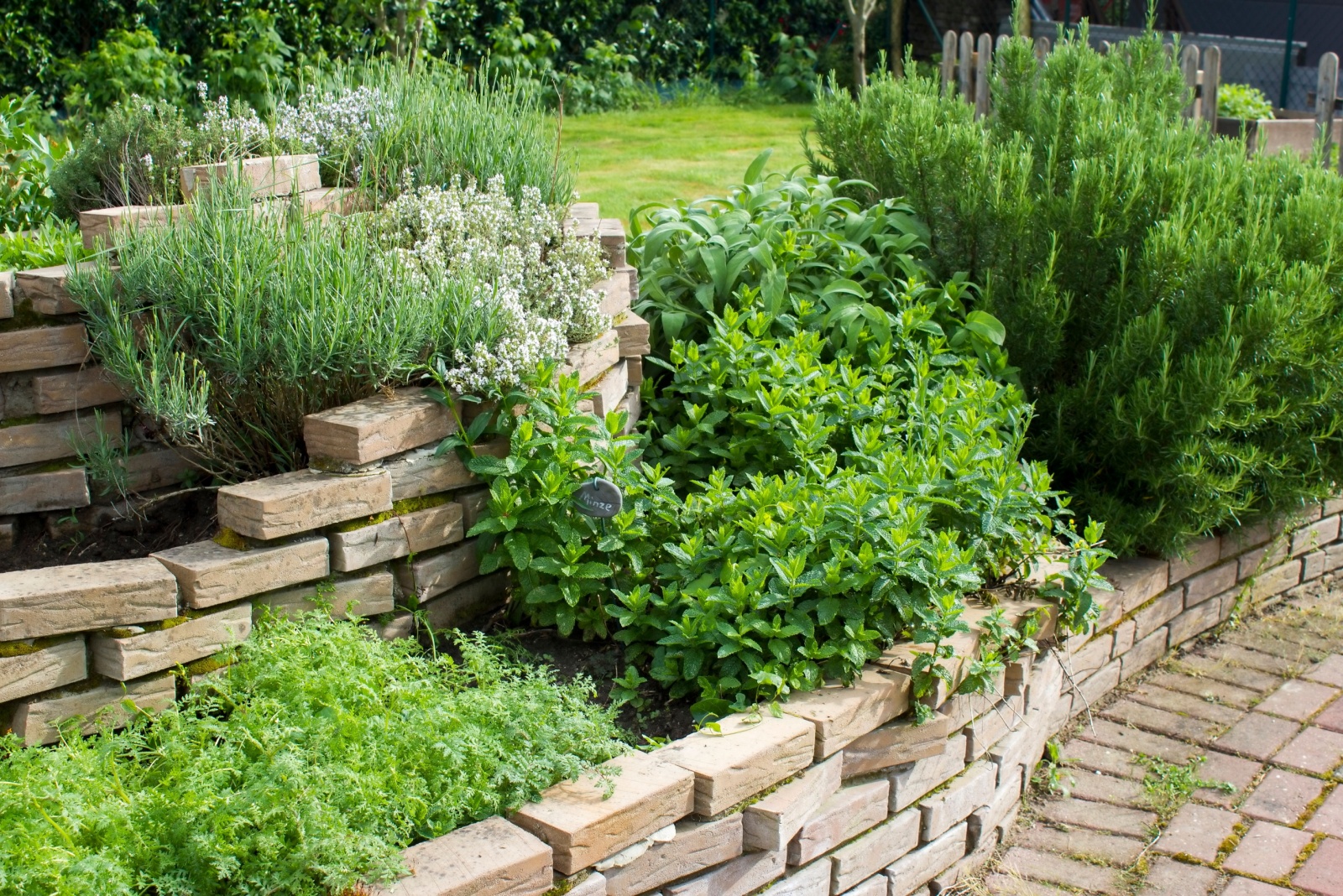 herb garden