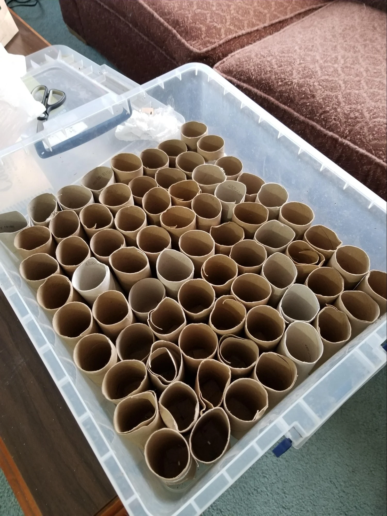 Upcycle toilet paper rolls for easy cable storage - Upcycled Kiwi