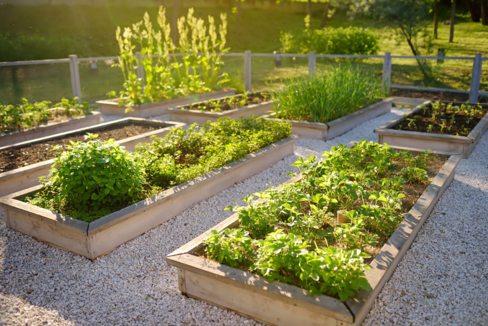 small garden beds