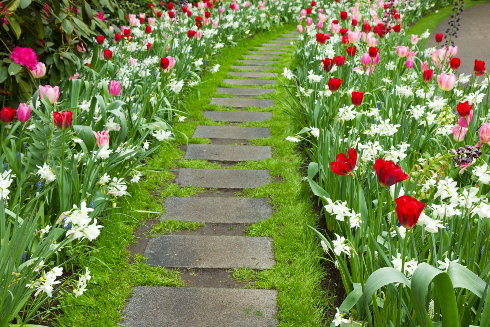 square stones in pathway