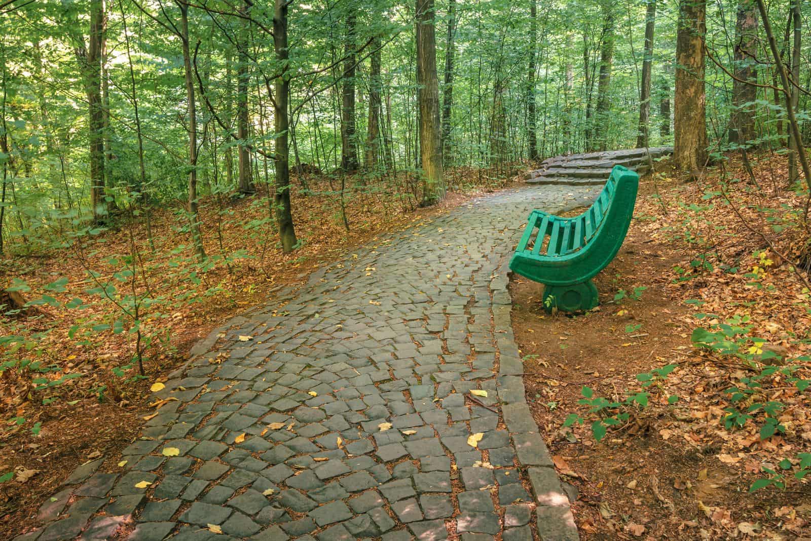 stone path in the forest with a chair