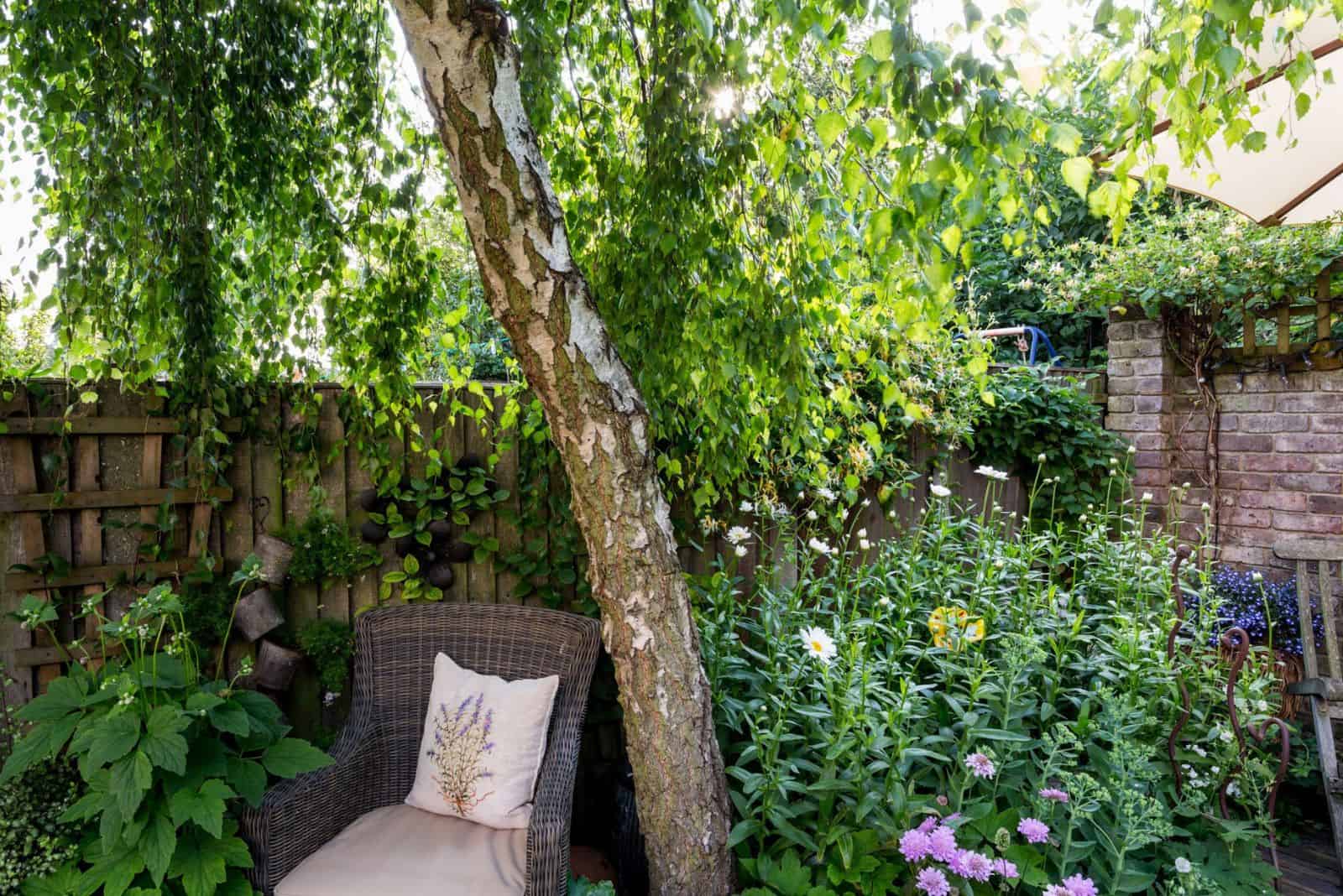 trees in the garden with a chair
