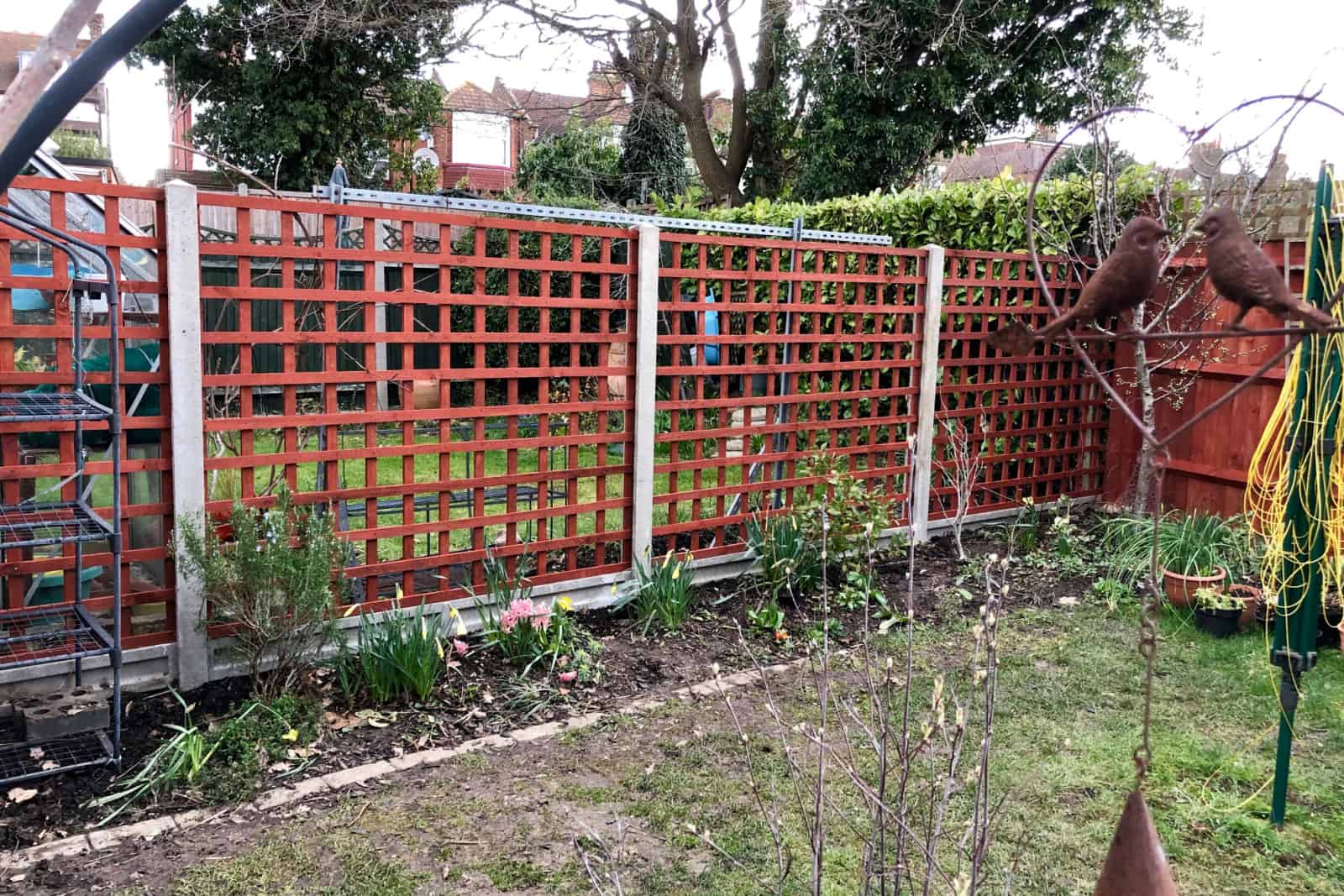 trellis panels of fence