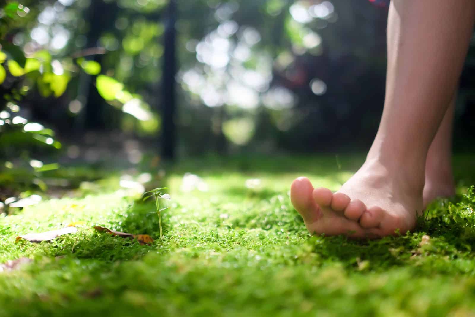 women bare feet walking on moss with sunlight