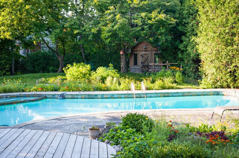 plant arrangement around a pool