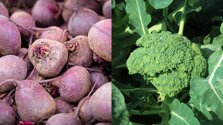 10 Vegetables To Plant In July To Prepare For The Upcoming Fall Season