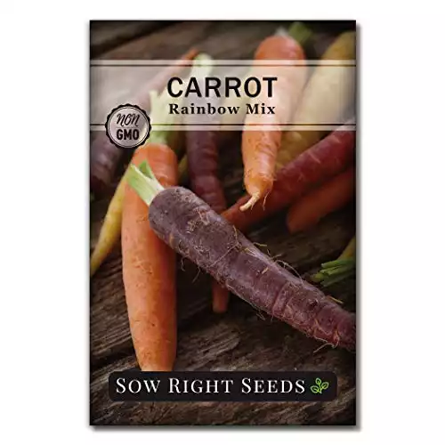 Carrot Rainbow Mix