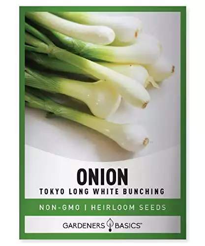 Green Onion Seeds for Planting