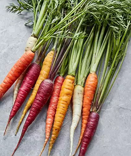 Burpee Kaleidoscope Blend Carrot Seeds