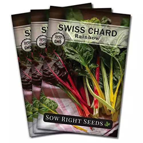 Swiss Chard Rainbow