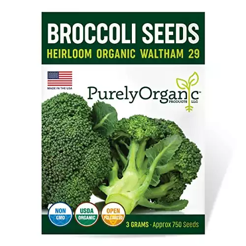 Organic Heirloom Broccoli Seeds