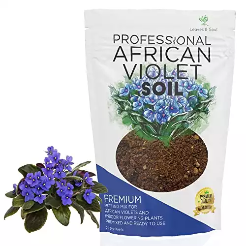 Professional African Violet Plant Soil