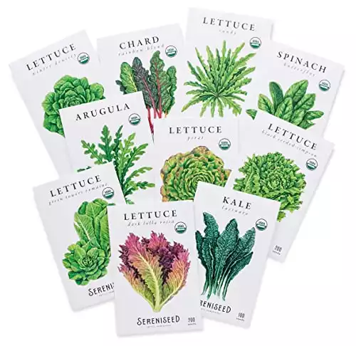 Organic Leafy Greens Lettuce Seeds