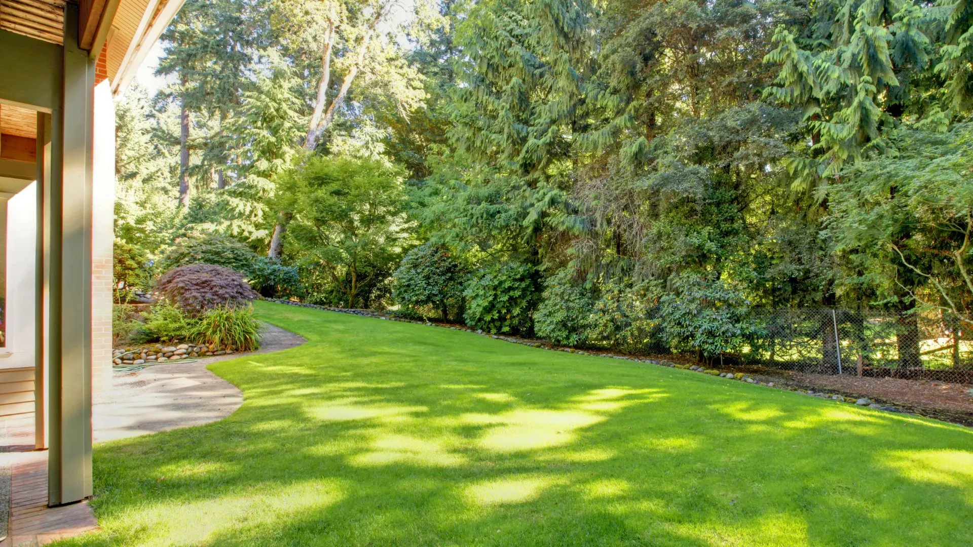 photo of the green grass