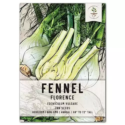 Florence Fennel Herb Seeds