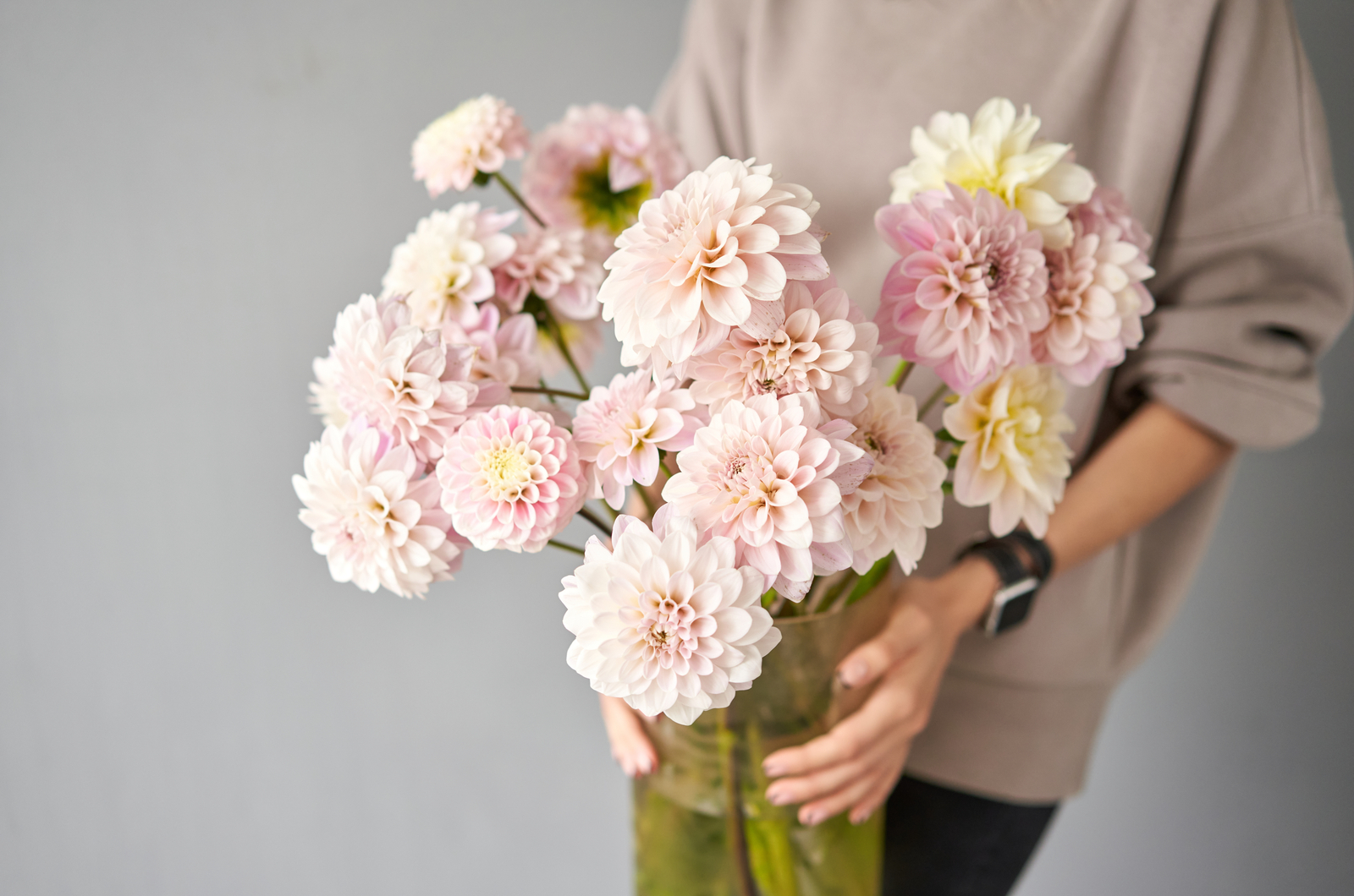 Beautiful bouquet of dahlias in womans hands